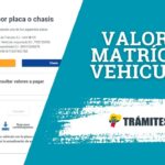 ✅ Consulta del valor a pagar por matrícula vehicular 2026 en Ecuador