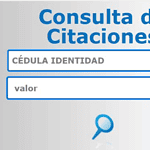 ✅ Consulta de propietario de vehículo en Ecuador por número de placa