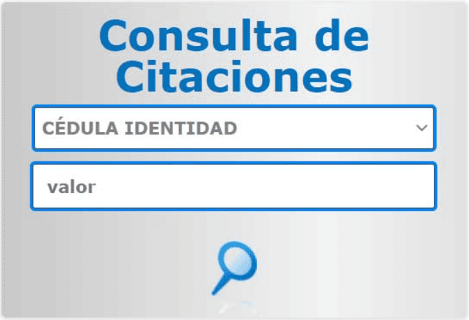 ✅ Consulta de propietario de vehículo en Ecuador por número de placa