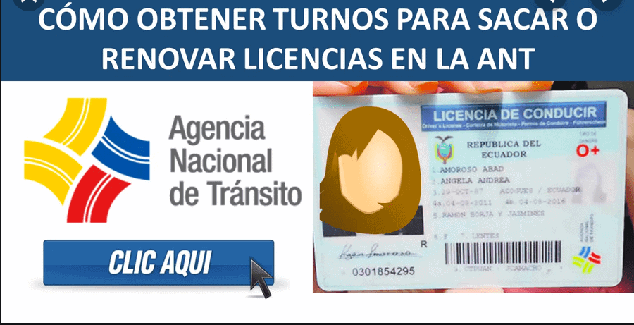 ✅ Cómo obtener tu turno para renovación de licencia ANT en Ecuador 2026