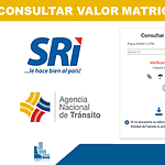 ✅ Consultar Matrícula Vehicular SRI Ecuador 2026 – Valores y Fechas