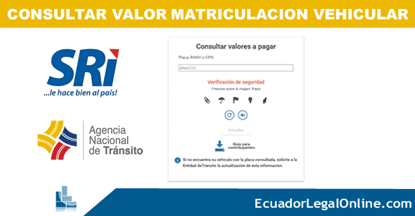 ✅ Consultar Matrícula Vehicular SRI Ecuador 2026 – Valores y Fechas