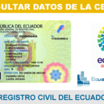 ✅ Consultar Datos Registro Civil Guayaquil 2026 – Cédula Online