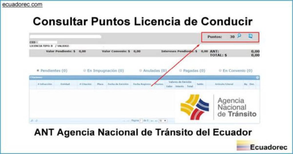 ✅ Consultar Puntos de Licencia de Conducir ANT 2026 – Guía Oficial