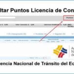 ✅ Consultar Puntos de Licencia de Conducir ANT 2026 – Guía Oficial