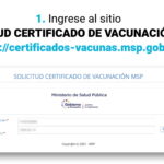 ✅ Descargar Certificado de Vacunación Ecuador 2026 – Guía Completa