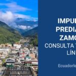 ✅ Impuesto Predial Zamora 2026 – Consultar y Pagar Online