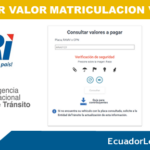 ✅ Valor Matrícula Vehicular 2026 SRI ANT – Consulta Gratis