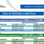✅ Calculadora Pensión Alimenticia Ecuador 2026 – Cálculo SUPA
