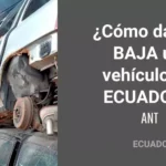 ✅ Cómo Dar de Baja un Vehículo en Ecuador 2026 – Guía Completa ANT